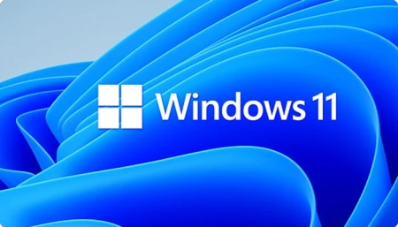 windows 11 home versus Pro