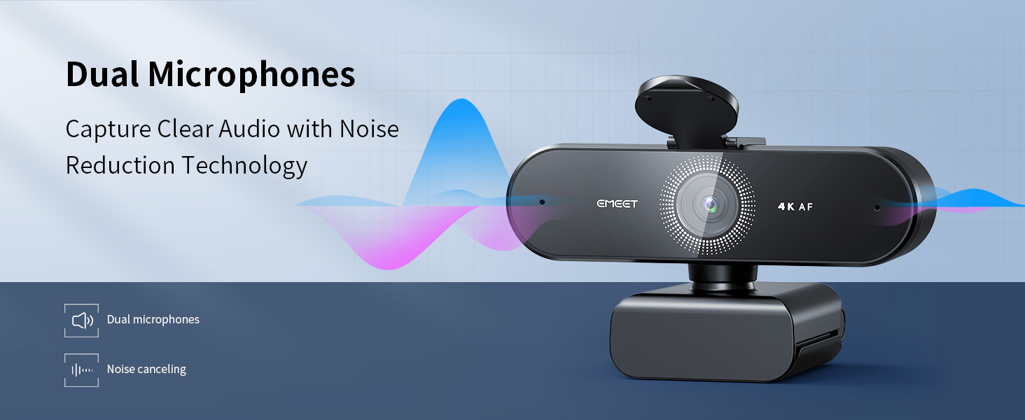 Dual AI Microphones