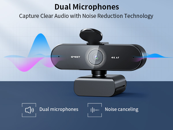 Dual AI Microphones